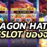 Dragon Hatch Pgslot เล่นยังไง ทำยังไงถึงได้เงินเยอะ