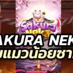 Sakura Neko Nagagame เกมแมวน้อยซากุระ เล่นยังไง เกมดีหรือไม่?